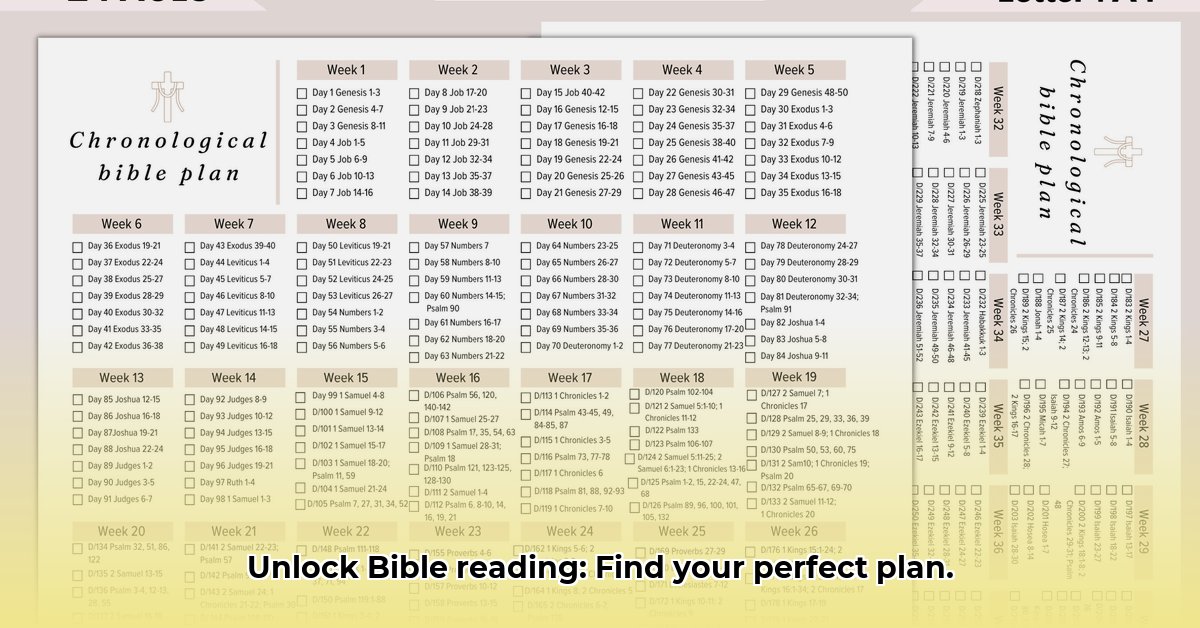 bible-reading-plan-guide
